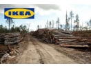 Stop IKEA