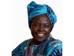Death of Wangari Maathai - a great loss